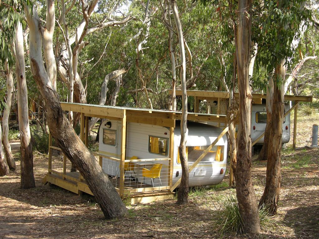 Bimbi Park - Camping Under Koalas Cape Otway Exteriér fotografie