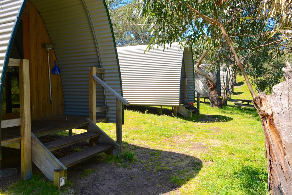 Bimbi Park - Camping Under Koalas Cape Otway Exteriér fotografie